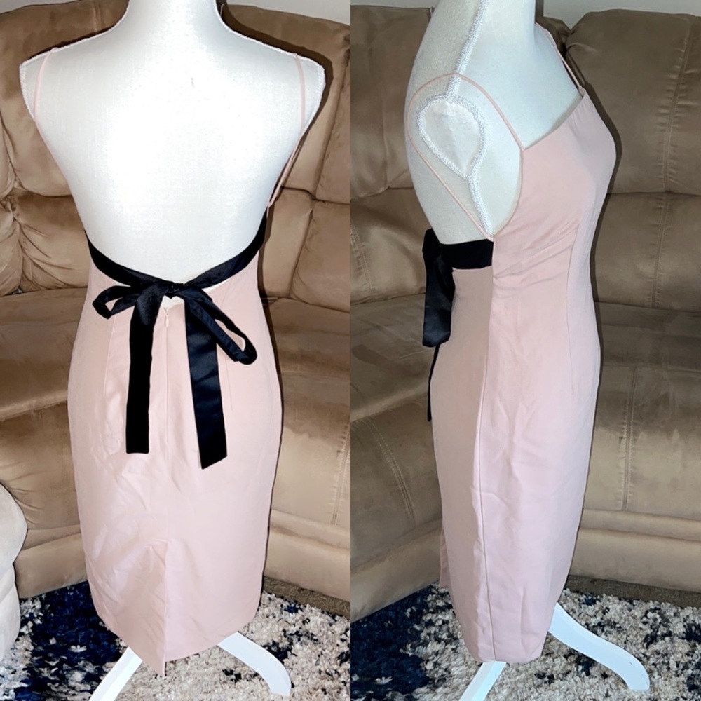 ELPIS Tie Back Blush Cocktail Dress